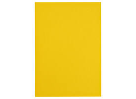 Kopieerpapier Papicolor A4 200gr 6 vel dottergeel