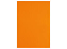 Kopieerpapier Papicolor A4 100gr 12 vel oranje