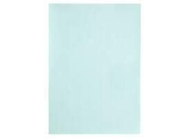 Kopieerpapier Papicolor A4 100gr 12 vel zeegroen
