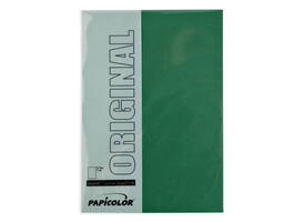 Kopieerpapier Papicolor A4 100gr 12 vel dennengroen