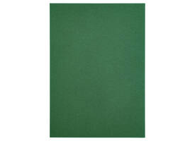 Kopieerpapier Papicolor A4 100gr 12 vel dennengroen