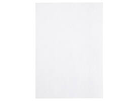 Kopieerpapier Papicolor A4 90gr 12 vel kraft wit