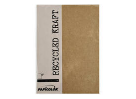 Kopieerpapier Papicolor A4 100gr 12 vel kraft bruin
