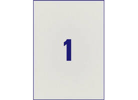 Etiket Avery L6013-20 210x297mm zilver 20 stuks
