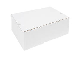 Postpakketbox iezzy 2 200x140x80mm wit