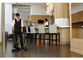 Stofblik Rubbermaid Executive Lobby Pro met lange steel zwart
