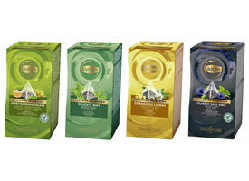 Thee Lipton Exclusive groene thee mandarijn sinaasappel 25 pramidezakjesx2gr