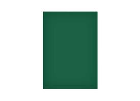 Magneetvel MAUL 200x300mm groen beschrijf- wisbaar en te knippen
