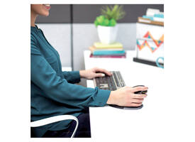 Ergonomische muis Fellowes Penguin draadloos large