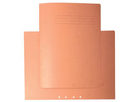 Binnenmap Quantore ICN1 A4 met ponsgaten chamois
