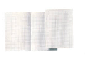 Accountantspapier Djois Atlanta A4 14 kolommen 100vel
