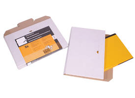 Brievenbusbox CleverPack A4 350x230x26mm karton wit pak à 5 stuks
