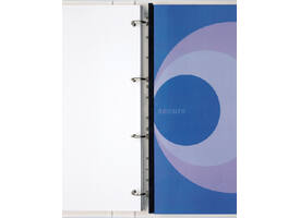 Filestrip GBC A4 10-pins 100 stuks