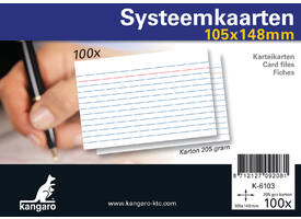 Systeemkaarten A6 105x148mm 100 stuks