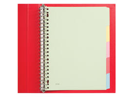Tabbladen Qbasic 23-gaats 5-delig assorti karton