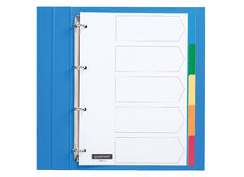 Tabbladen Quantore 4-gaats 5-delig assorti tabs PP