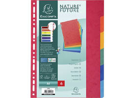 Tabbladen Exacompta 225x297mm 11-gaats 6-delig glanskarton