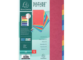 Tabbladen Exacompta 225x297mm 11-gaats 12-delig glanskarton
