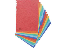 Tabbladen Exacompta 225x297mm 11-gaats 12-delig glanskarton