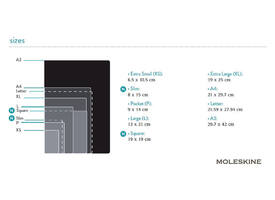 Notitieboek Moleskine large 130x210mm lijn hard cover zwart