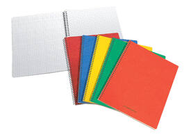Schrift Aurora 80x135mm ruit 5x5mm 200 pagina's 60gr assorti