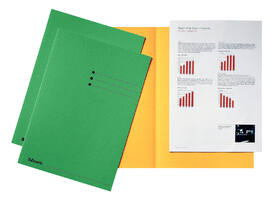 Vouwmap Esselte A4 manilla 180gr groen