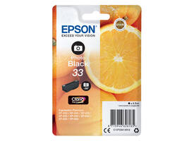 Inktcartridge Epson 33 T3341 foto zwart