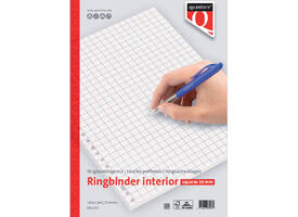Interieur Quantore A4 23-gaats ruit 10mm 100vel