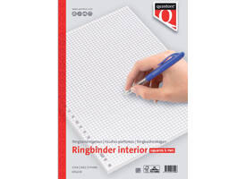 Interieur Quantore A4 23-gaats ruit 5mm 100vel