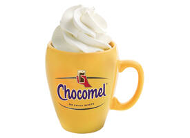 Chocolademelk Chocomel blik 250ml