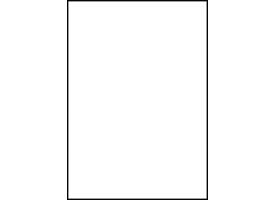 Etiket Avery 3478-200 210x297mm A4 wit 200 stuks