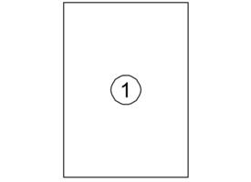 Etiket Quantore 210x297mm 100 stuks