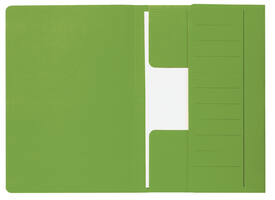 Dossiermap Djois Secolor Mammoet folio 3 kleppen 250gr recylced groen