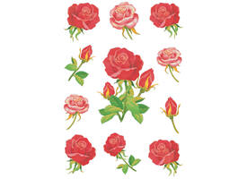 Etiket HERMA 3581 rozen