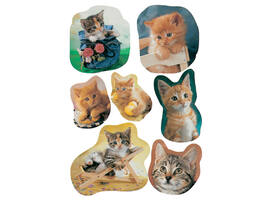 Etiket HERMA 5747 katten