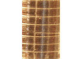 Polyband Haza 5mm x 250m metallic goud