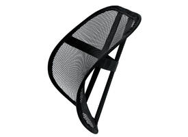 Rugsteun Fellowes Office Suites gaas