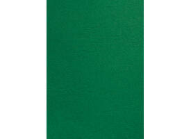 Voorblad GBC A4 lederlook groen 100 stuks