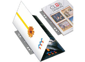 Opbergstrip Djois filestrip 125mm 2rings transparant 50 stuks