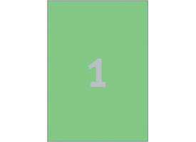 Etiket Avery 3472 210x297mm A4 groen 100 stuks
